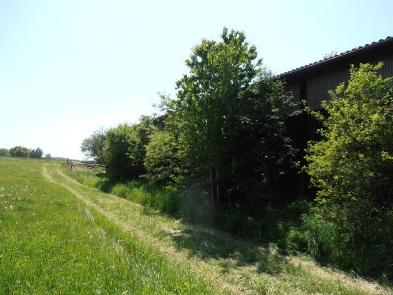 Hotel Gaisthaler Hof Schonsee Luaran gambar